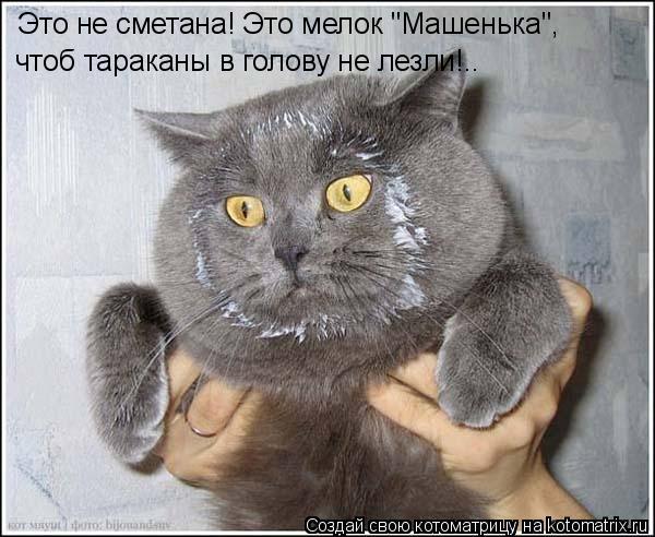  (600x492, 56Kb)