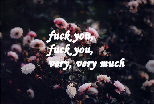  (500x339, 67Kb)