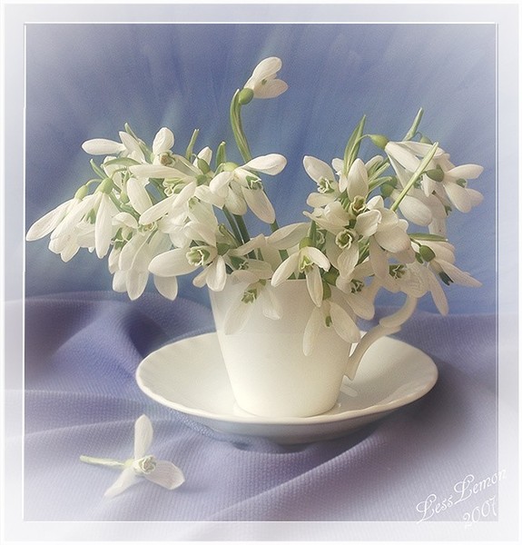 0a083d3fed3055a58560f0f89c2a37e7 (500x600, 79 Kb)