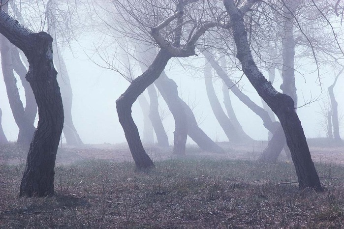  (699x466, 118Kb)