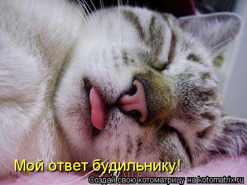 (500x375, 48Kb)