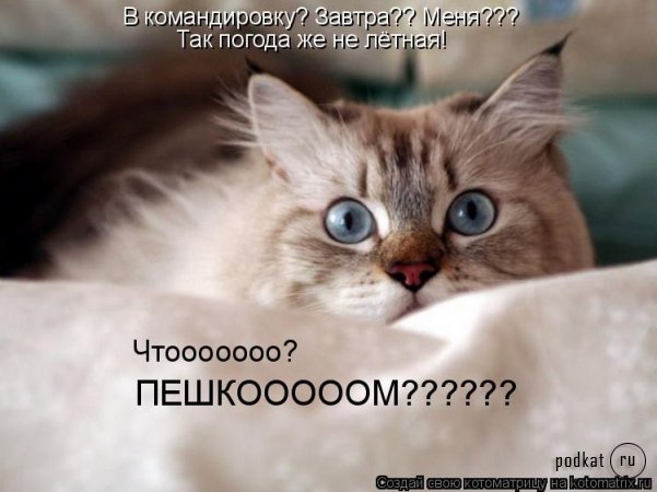  (601x450, 44Kb)