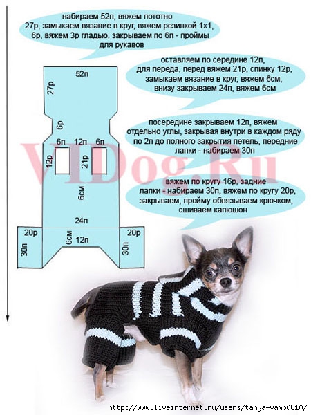 Как связать для собачки свитер, платье и штанишки - Димон-Камон, одежда для собак
