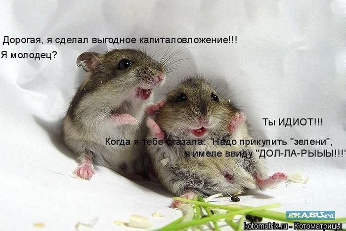  (700x468, 66Kb)