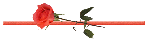  (477x126, 20Kb)