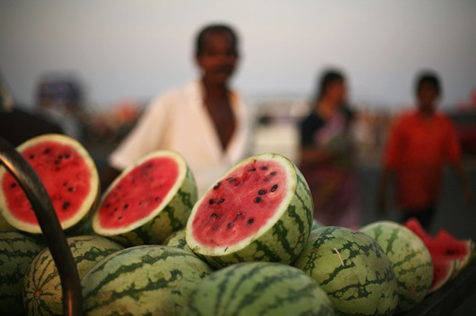  Marina Beach  , , 20  2010 .