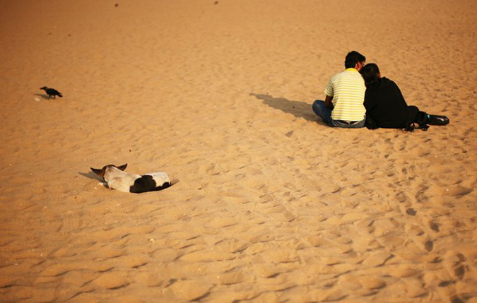  Marina Beach  , , 20  2010 .
