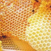 Медовые свечи из натурального пчелиного воска