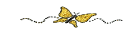  (249x58, 3Kb)