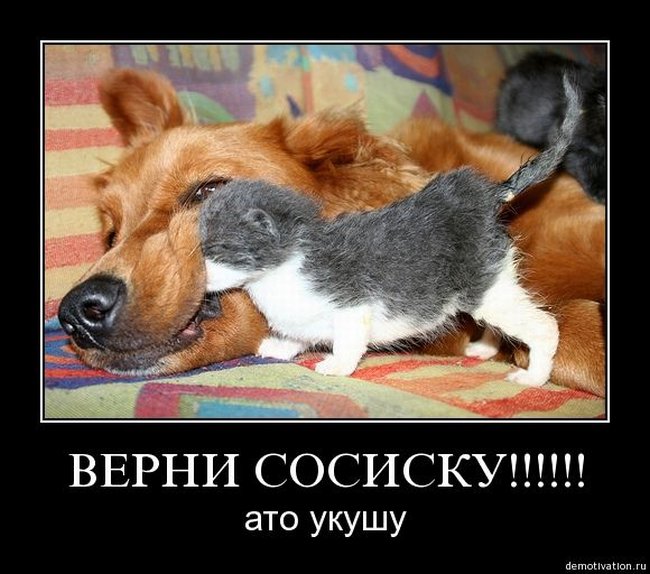  (650x574, 72Kb)