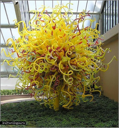 56950716 dalechihuly101        (Dale Chihuly)