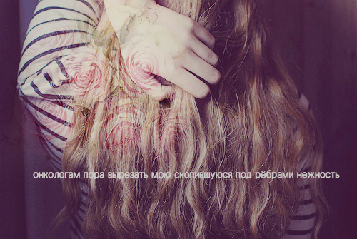  (500x335, 311Kb)