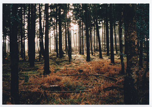  (500x355, 201Kb)