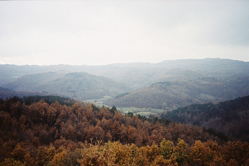  (500x335, 125Kb)