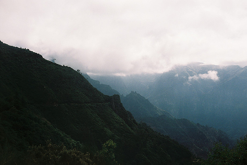  (500x335, 66Kb)