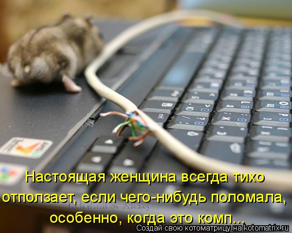  (600x480, 49Kb)