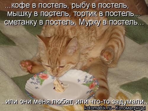 (500x375, 43Kb)