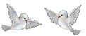 085 (122x51, 3 Kb)
