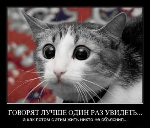  (500x426, 90Kb)