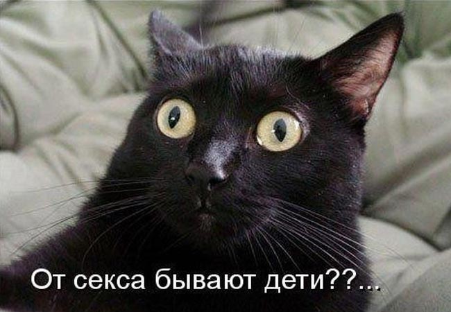  (650x450, 46Kb)