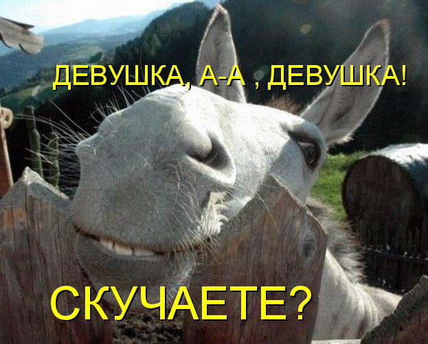  (623x502, 104Kb)
