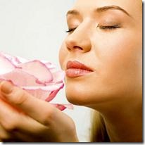 smell1