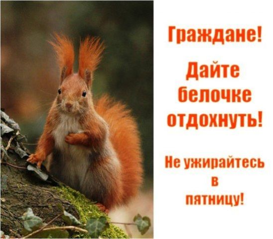  (548x480, 40Kb)