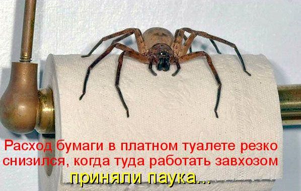  (598x380, 56Kb)