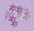  (115x105, 10Kb)