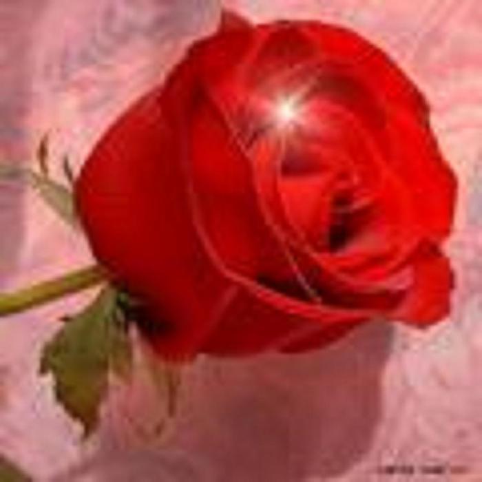  (700x700, 29Kb)