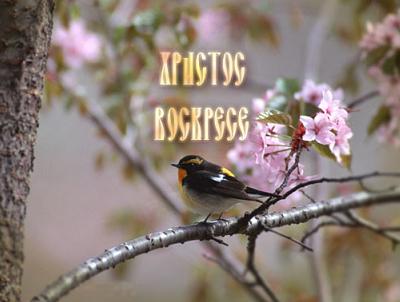 (400x302, 36Kb)
