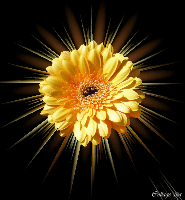 Sparkling flower (300x300, 281 Kb)