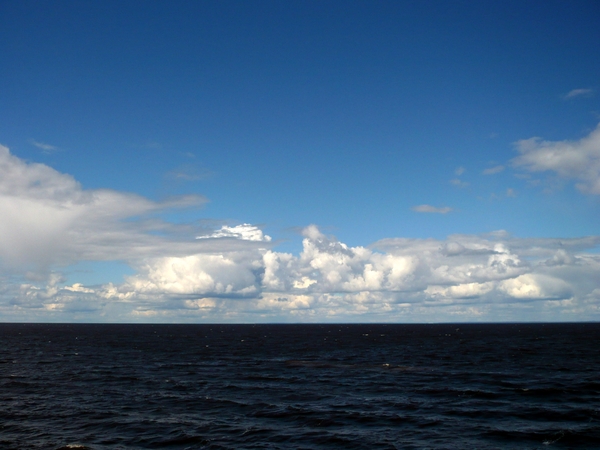  (600x450, 168Kb)