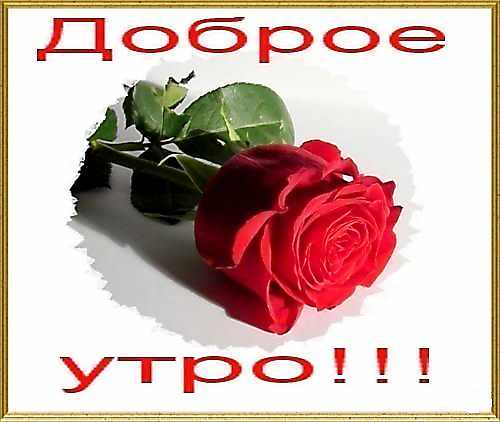  (500x422, 24Kb)