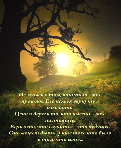  (493x600, 98Kb)