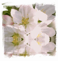  (200x210, 52Kb)