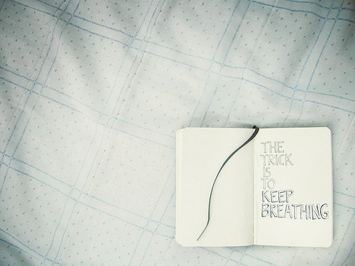  (500x375, 34Kb)