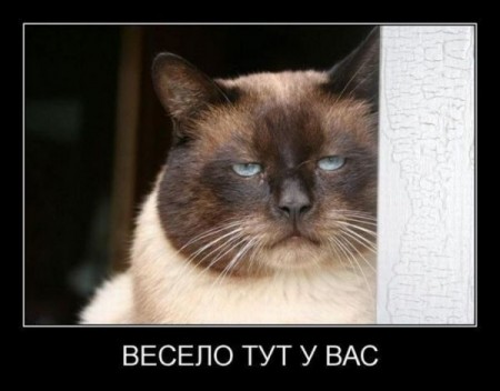  (450x352, 30Kb)