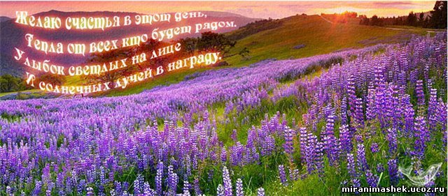  (640x281, 80Kb)