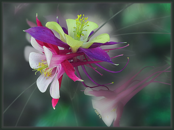  (699x522, 87Kb)