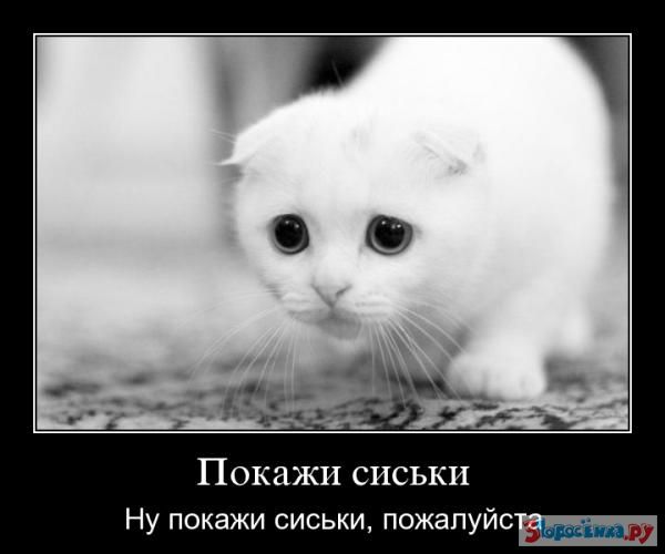  (600x500, 29Kb)