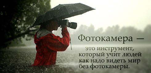  (490x240, 28Kb)
