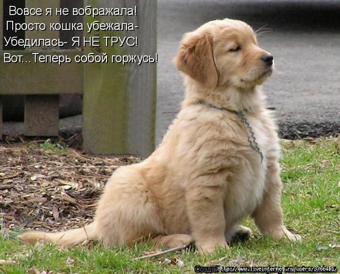  (699x563, 72Kb)