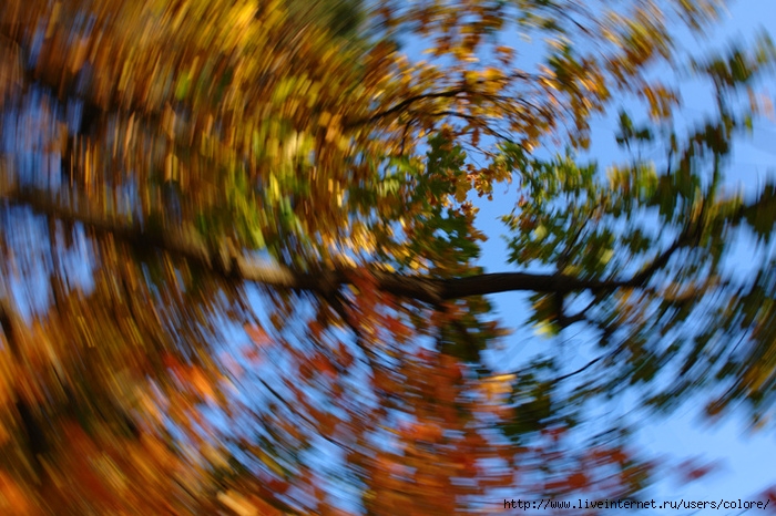 (700x466, 302Kb)