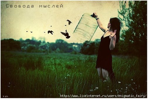  (505x339, 44Kb)