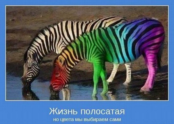  (600x428, 69Kb)