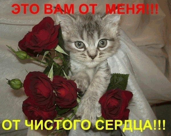  (600x480, 155Kb)