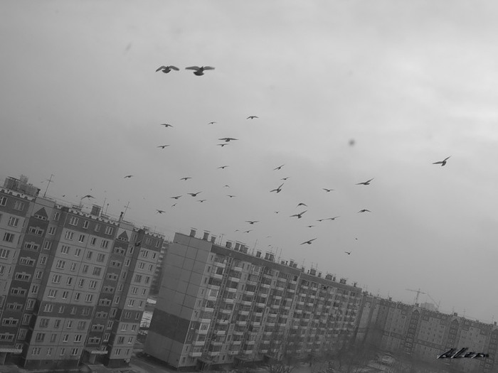  (700x525, 53Kb)