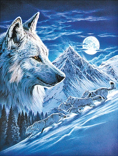  (376x500, 88Kb)