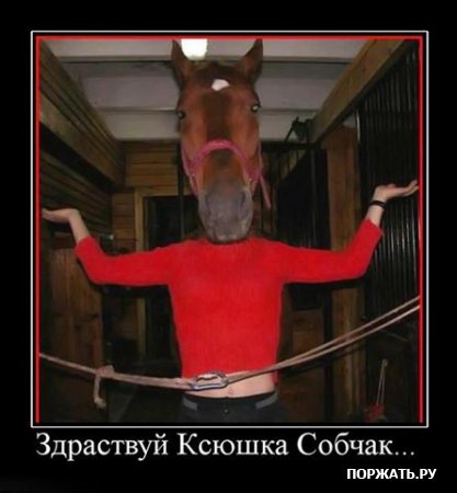 (417x450, 29Kb)